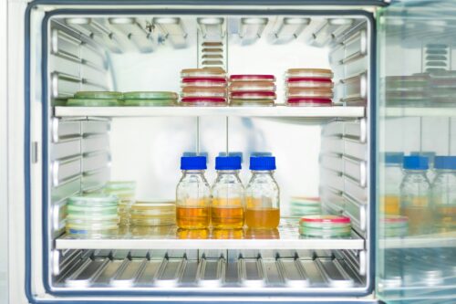 Agar medium and broth from the microbial test incubate in the incubator in microbial laboratory.